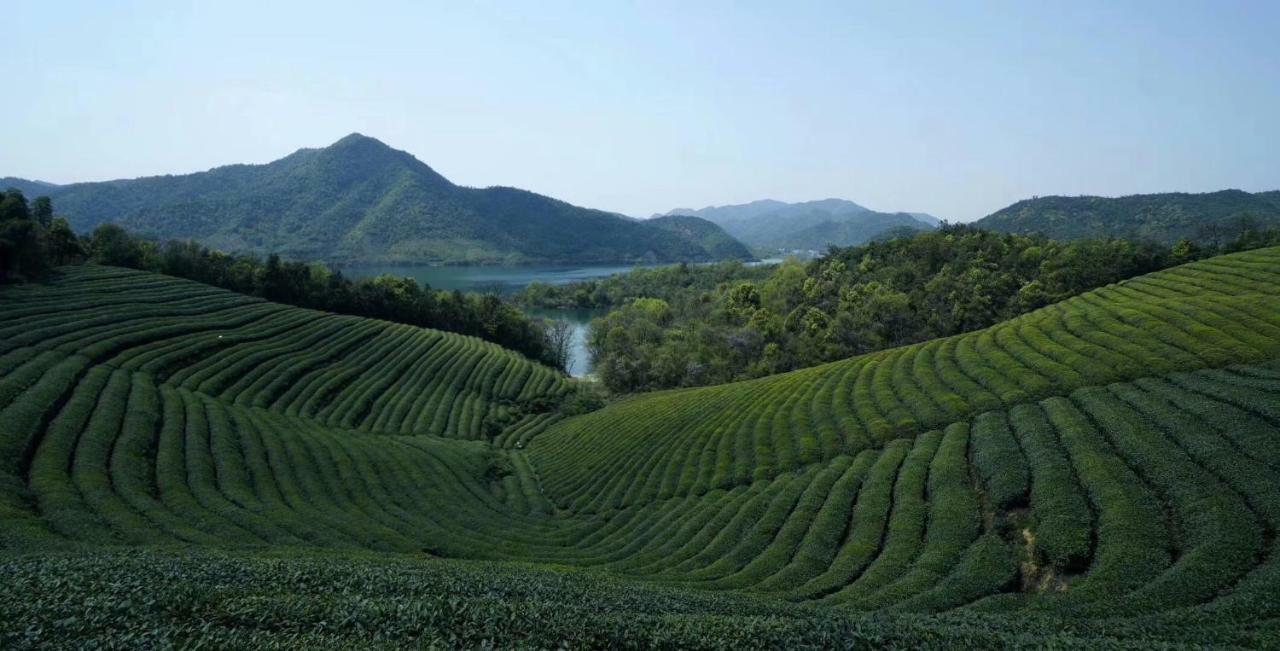 Mogan Mountain Xiaomusensen Villa Deqing Exterior photo